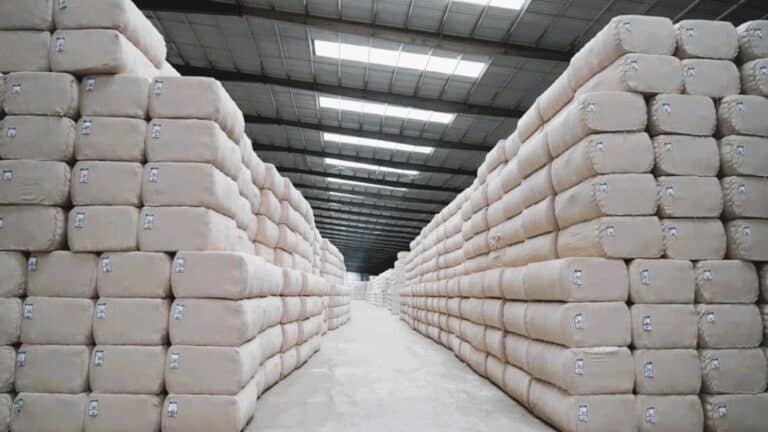 Gucci-мен жұмыс істейтін қытайлар Түркістанда үш ірі мақта зауытын ашты