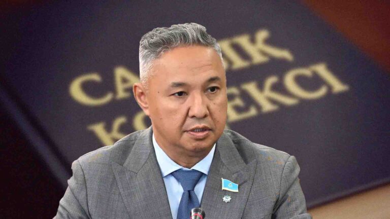 Үкімет жоқ нәрсемен күресеміз деп, кәсіпкердің құқығын шектеп отыр - Перуашев