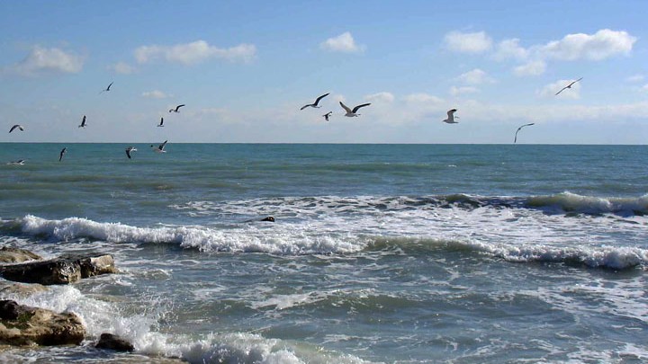 Каспий теңізінде тағы да жер сілкінісі болды