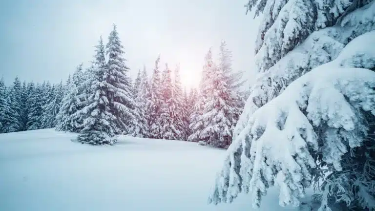 Солтүстік аймақтарда қатты аяз: 21 желтоқсанға ауа райы болжамы