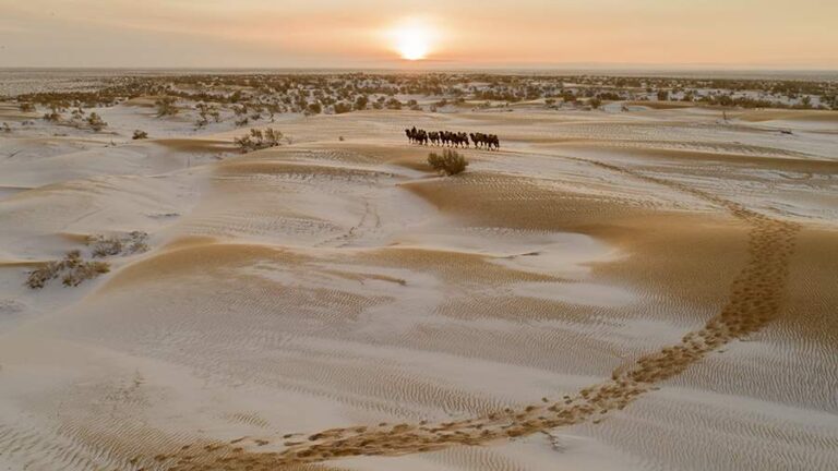 Сауд Арабиясының шөл даласына 30 жылда алғаш рет қар жауды