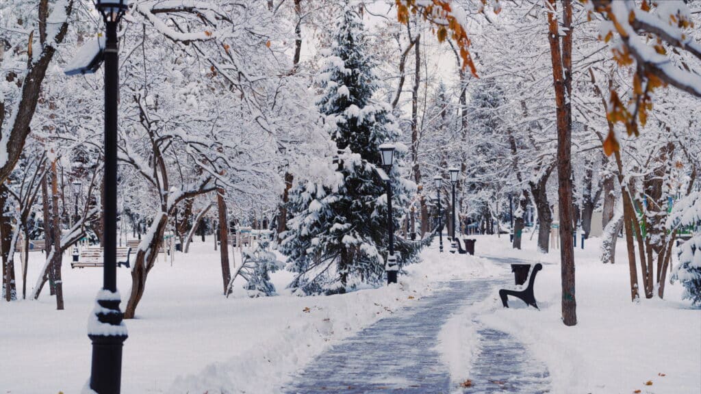 Фото: Делия Айдаралиева 