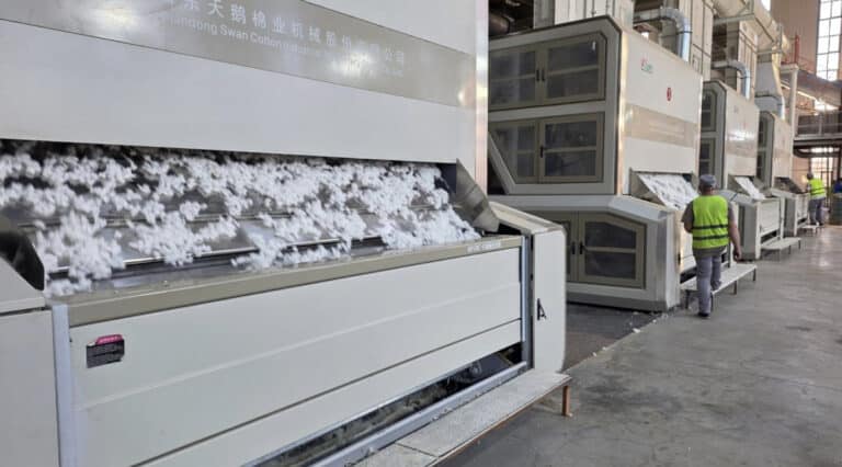 Түркістанда Орталық Азиядағы ең ірі мақта кластері құрылмақ