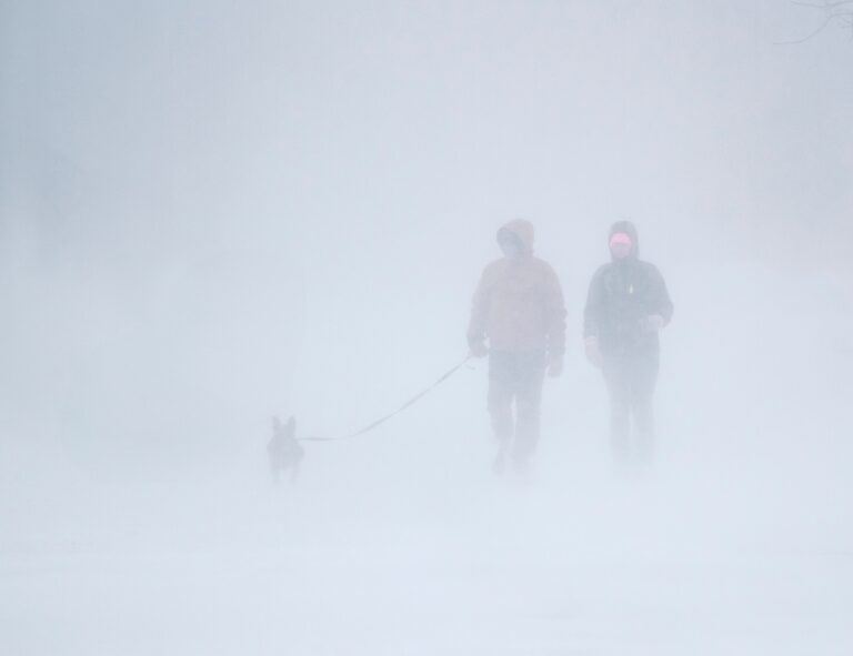 Метель, туман и гололед обещают казахстанцам 23 декабря
