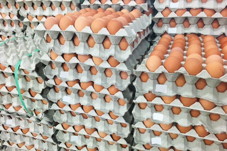 В Казахстане на месяц запретили ввоз куриных яиц