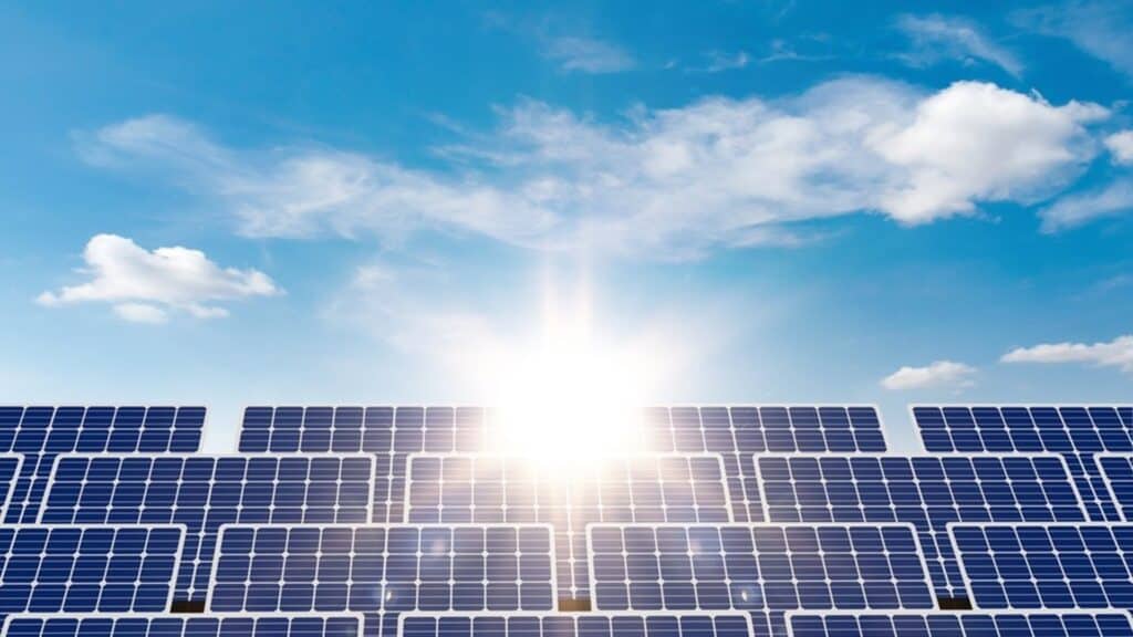 фото: shutterstock