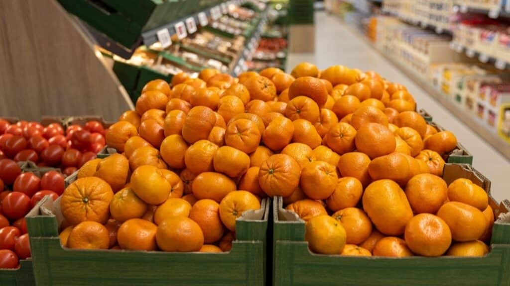 фото: shutterstock