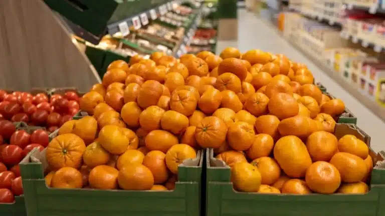 Биыл елге қанша тонна мандарин жеткізілді