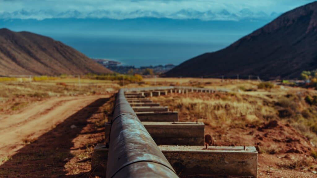 фото: shutterstock