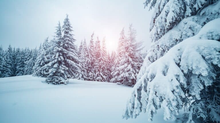 Бүкіл өңірде қар жауады: 15 желтоқсанға арналған ауа райы