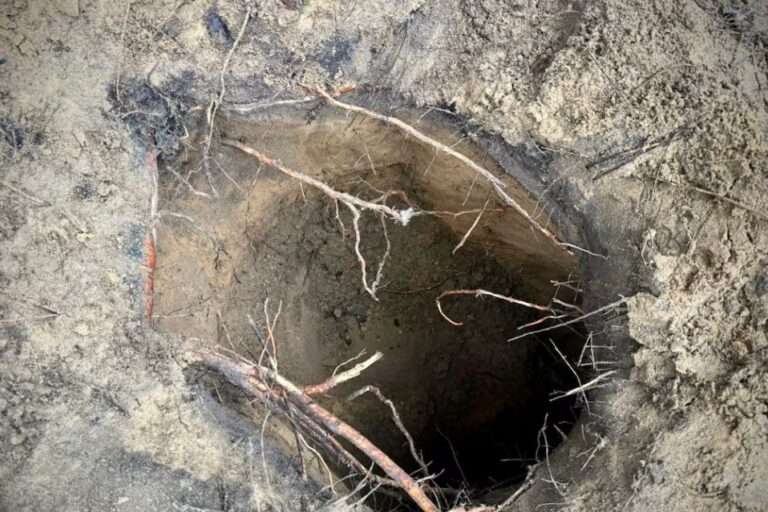 В Польшу через тайный туннель из Беларуси проникли более 180 мигрантов