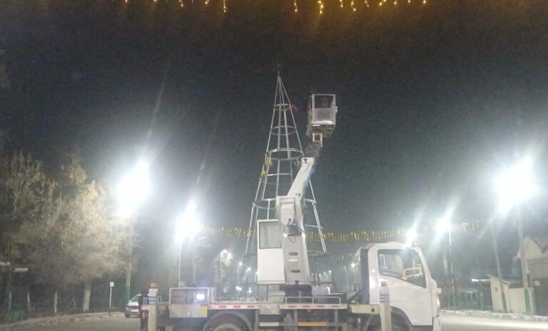 Шыршаны төңкеріп кеткен жүргізуші ұсталды (видео)