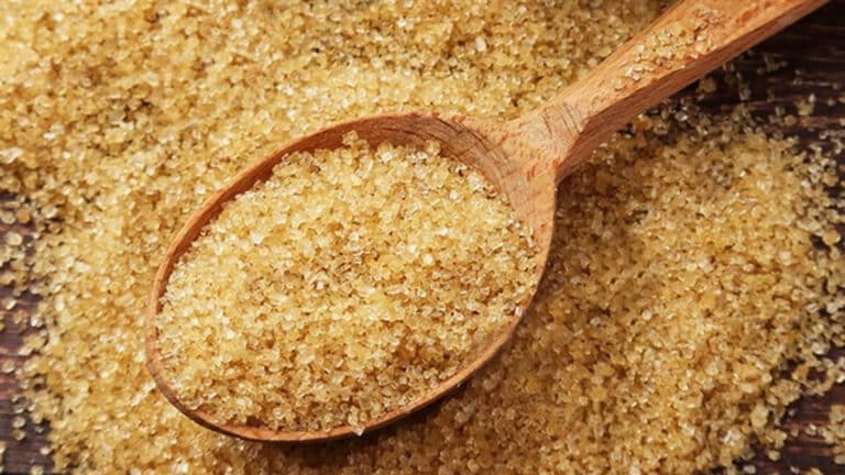 Новый завод за $60 млн начала строить в Алматы турецкая компания