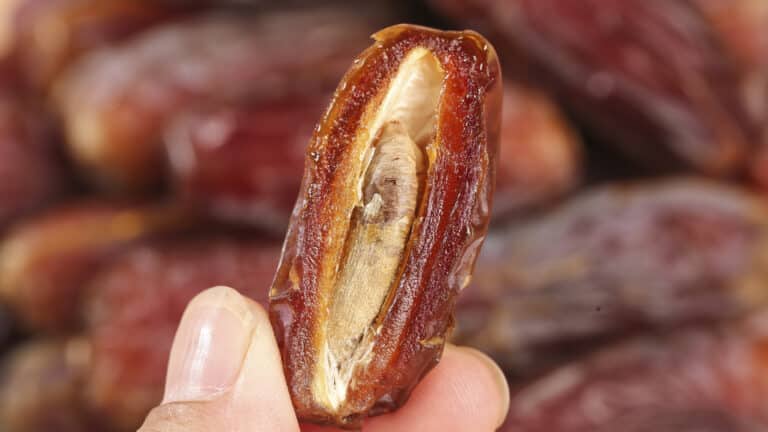 Финики с маслом и солью могут стать трендовым перекусом на Оразу