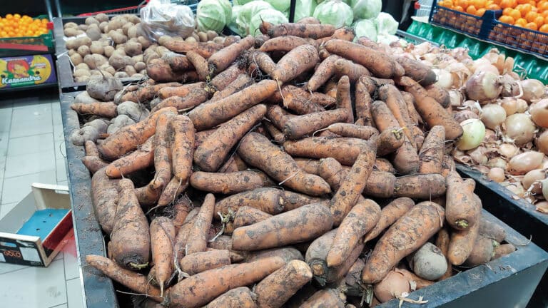 Депутат раскритиковал ограничения экспорта картофеля и моркови в Казахстане