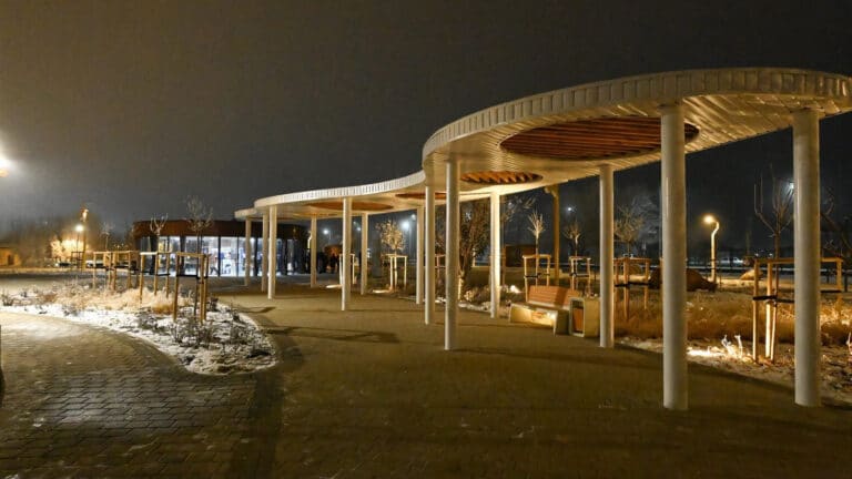 В обновленном парке Назарбаева Кызылорды высадят растения со всего мира