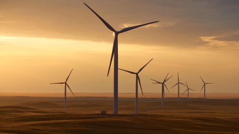 A flagship wind power project became a multi-million loss for China