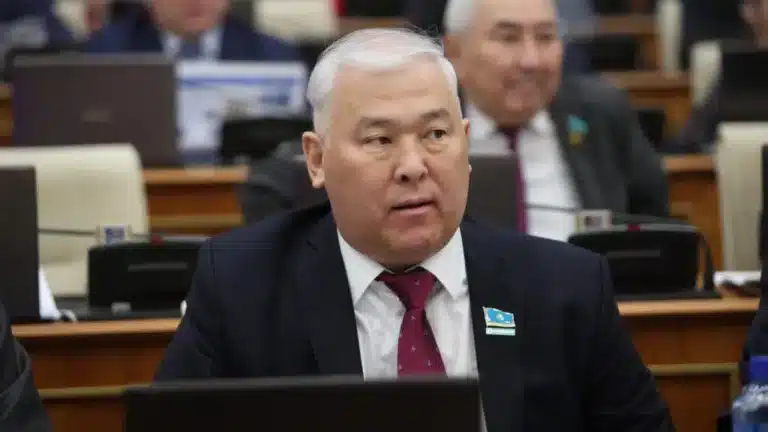 «Арестовать всех бабушек»: Абенов резко высказался о краже 17-летней девушки