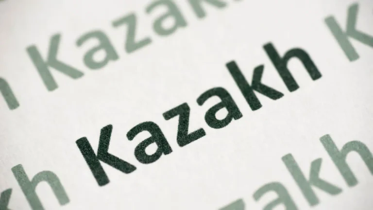 Ғылым министрлігі қазақ тілін үйренуге арналған ойынға 242 млн теңге жұмсаған