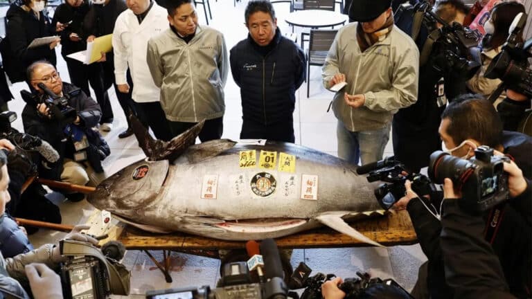 Tuna sells for millions of dollars at Tokyo market