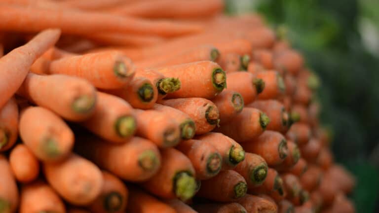 Жумангарин отказался запрещать экспорт моркови, несмотря на планы МСХ