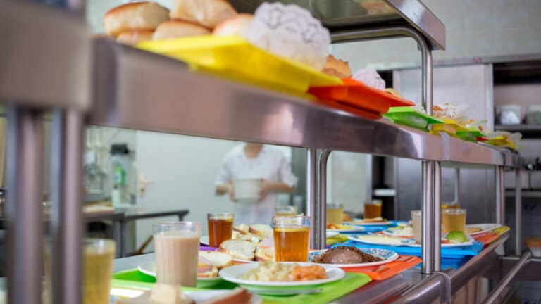 В Туркестанской области выявили нарушения в столовых более 70 школ