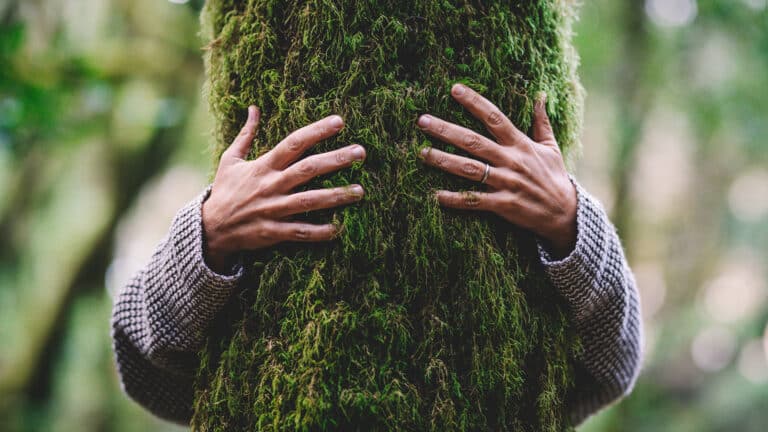 Около 100 кубометров леса незаконно вырубили в области Абай