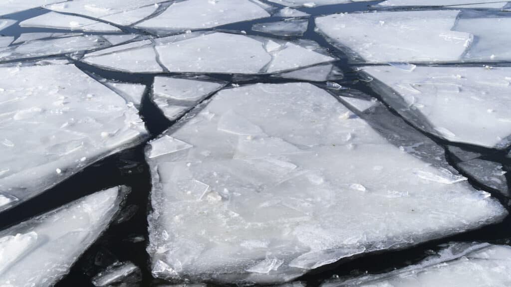 Фото: shutterstock, бильд-редактор: Дастан Шанай