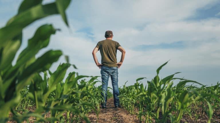 Кто владеет землей в Казахстане: сделки со связанными сторонами остаются вне фокуса
