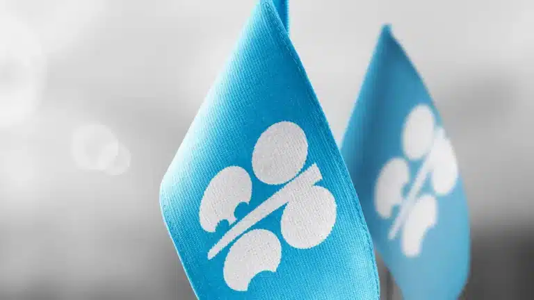 ОПЕК+ решила сохранить текущие уровни добычи нефти в первом квартале