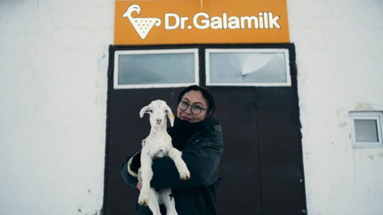 Бывший врач открыла бизнес с оборотом в 350 млн тенге на производстве козьего молока