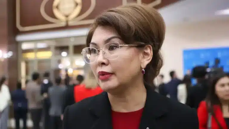 Жекеменшік медицина және білім беру ұйымдарын қаржыландыру қайта қаралады – Балаева