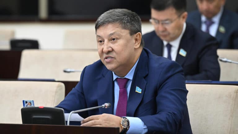 В Казахстане хотят увеличить пограничную полосу с Россией и странами ЦА