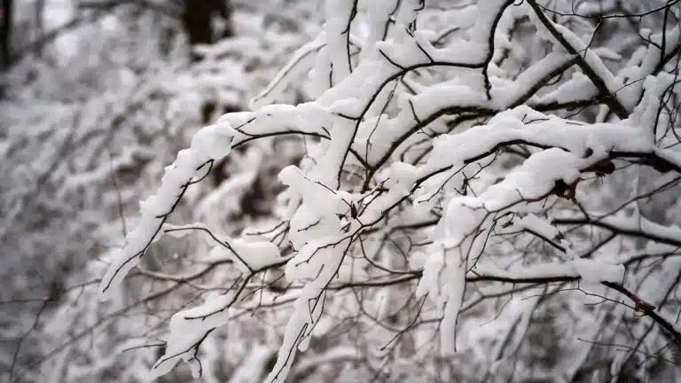 Сильные морозы ожидаются в 15 областях Казахстана