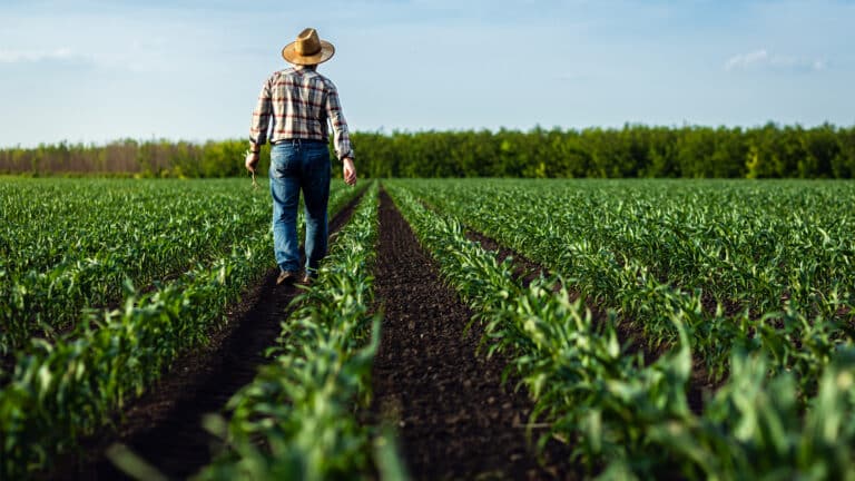 Более 30 млрд тенге потеряло государство при поддержке аграриев