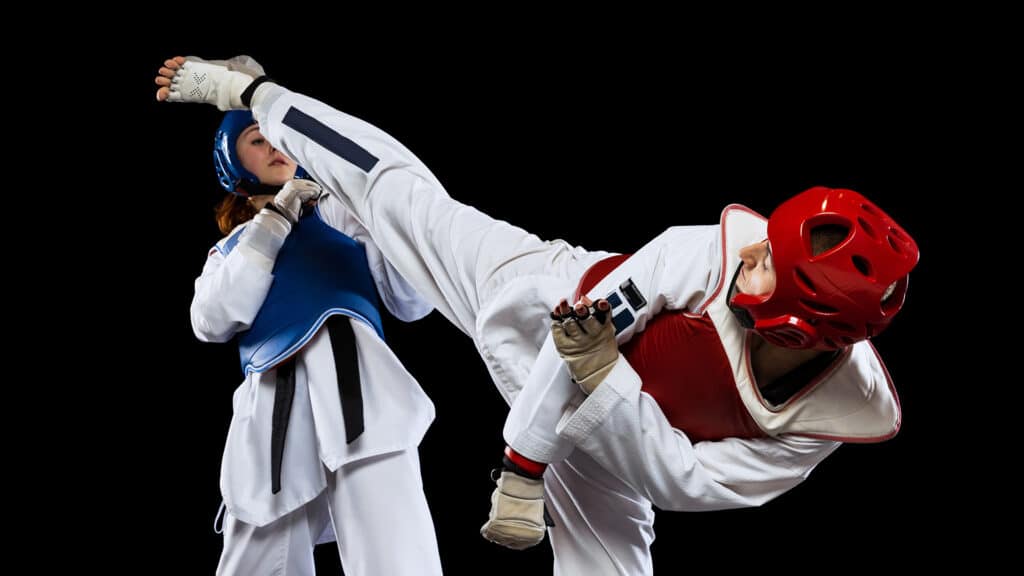 South Korea plans joint taekwondo UNESCO bid following North Korea