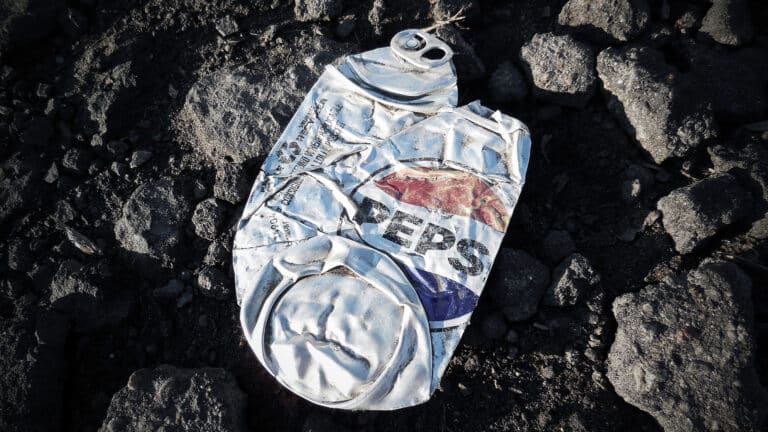 Подрядчика Pepsi оштрафовали за нелегальную свалку рядом с Алатау