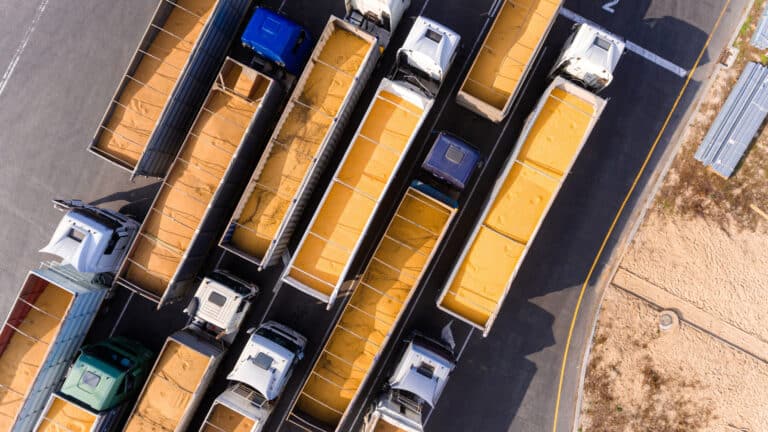 Казахстан поставит почти миллион тонн зерна в ОАЭ и Оман