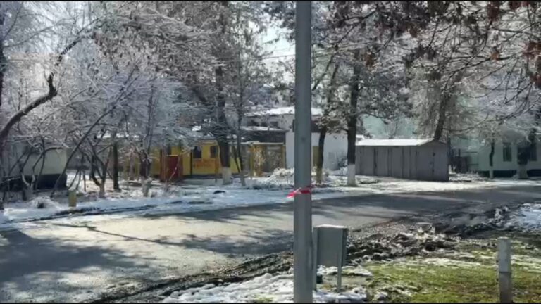 «Бауыздап кетті»: Шымкентте тал түсте әйелді көшеде пышақтап өлтіріп кеткен