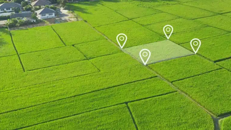 Алматы облысында әкімдіктердің үстінен тергеу басталды