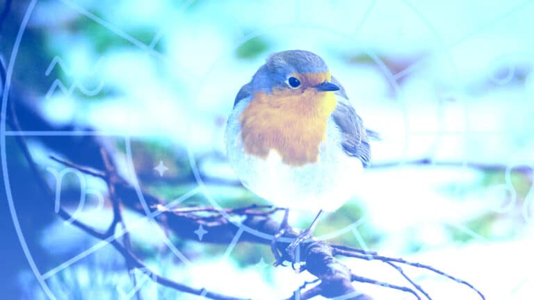 Звездный взлет или тихий вечер дома: что ждет все знаки зодиака 30 января