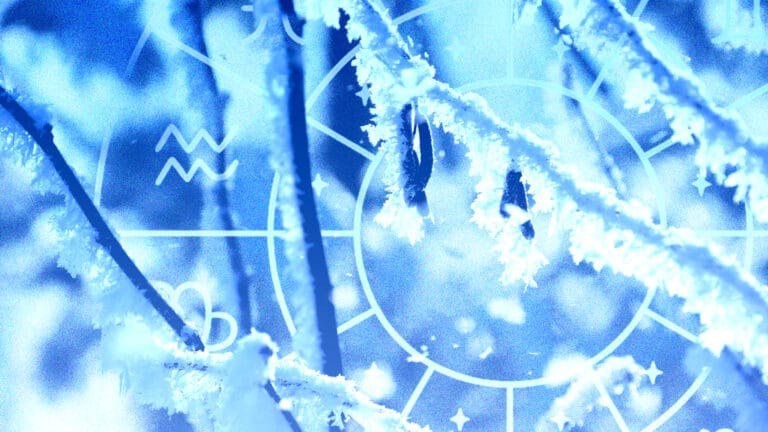 Гороскоп на 6 января: кому из знаков особенно повезет перед Рождеством