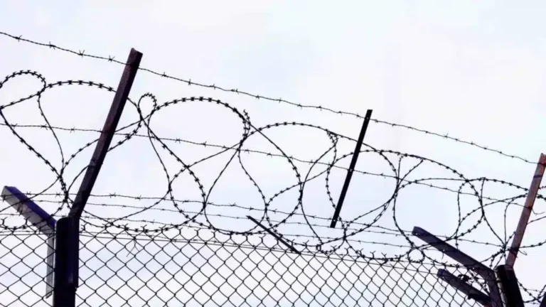 Астанадағы колониялардың бірінде сотталғандарды 12 сағат жұмыс істуге мәжбүрлеген