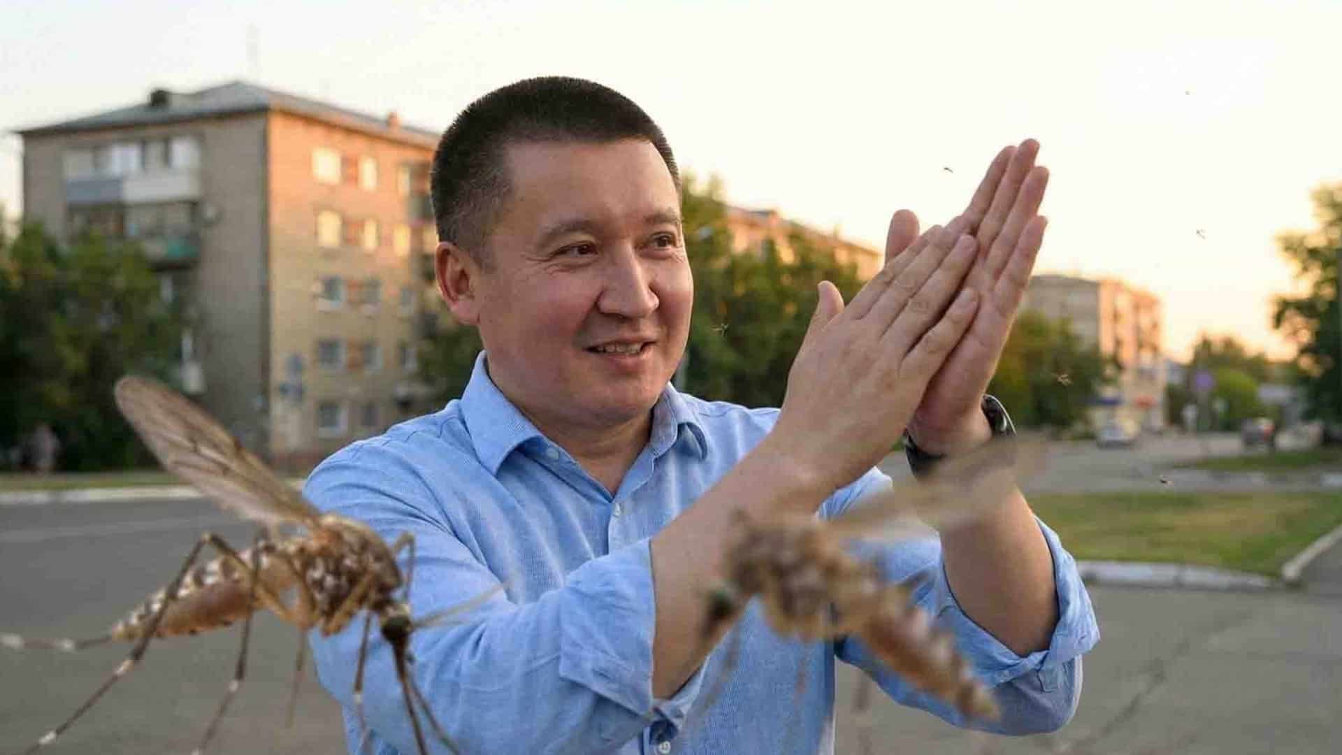 Павлодар облысы маса мен шыбын-шіркейге қарсы күрес Асайын Байханов