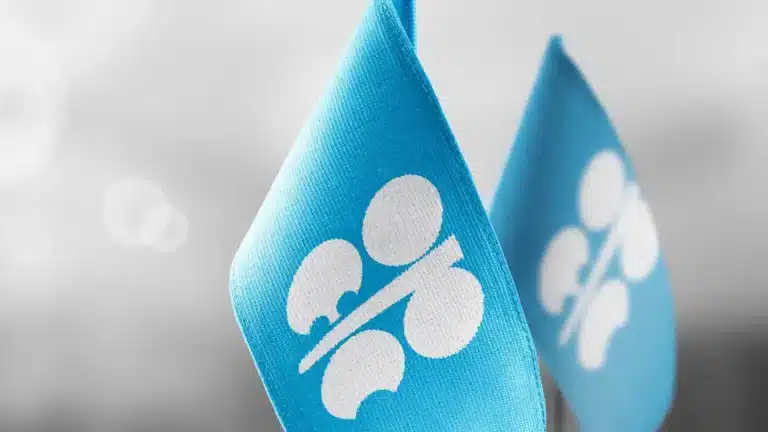 OPEC қоры Қазақстандағы жеке бизнес жобаларын қаржыландыра бастайды