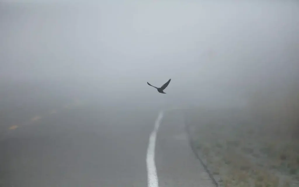 Казгидромет предупредил о туманах, гололеде и метелях по всему Казахстану