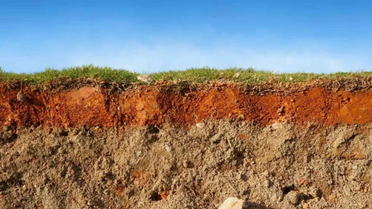 Шығыс Қазақстанда кәсіпкер «геобарлау» желеуімен заңсыз қазбадан 1 млрд теңге тапқан