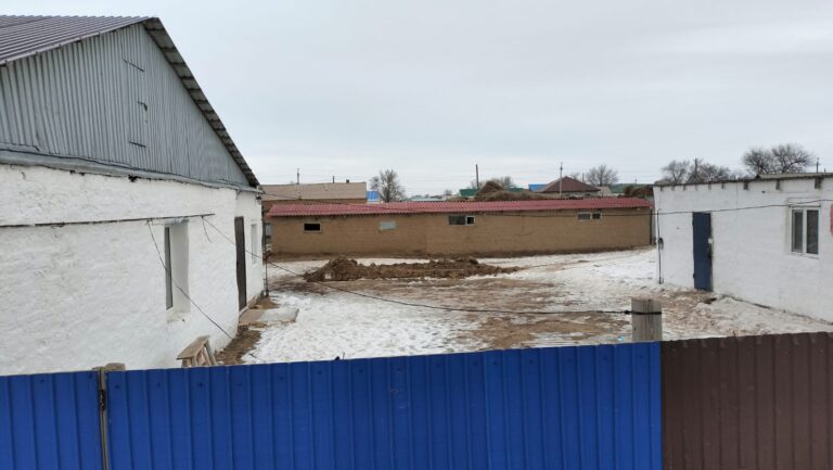 «Қасқа, Құдай сақтаған екен»: жоғалған әулеттің көршісі естігенін айтты