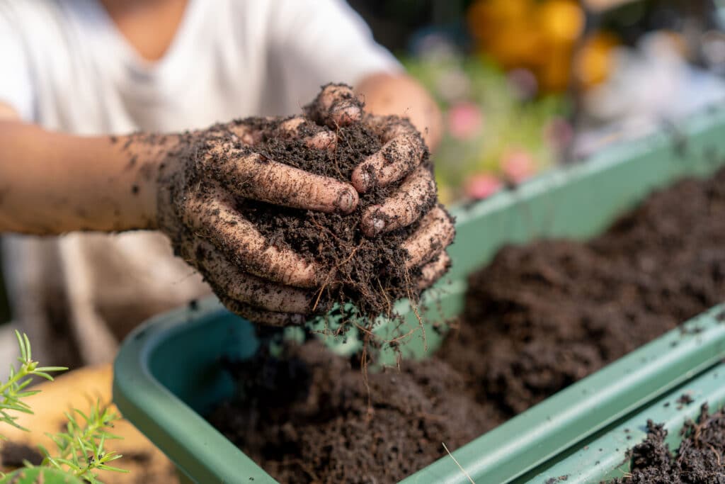 Қазақстанның үш облысындағы оқу орындарында агросыныптар пайда болады