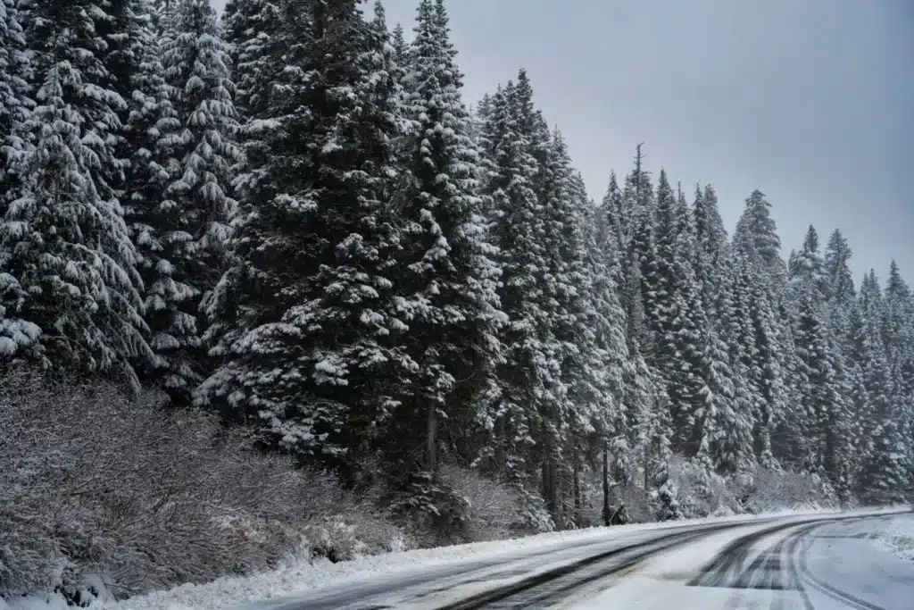 Метели и снегопады накроют Казахстан